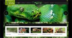 Desktop Screenshot of lojaselva.com