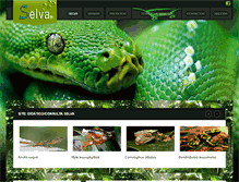 Tablet Screenshot of lojaselva.com